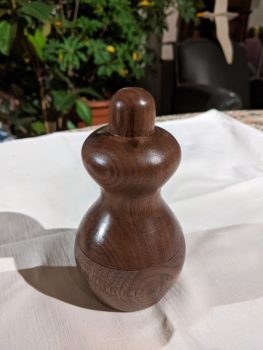 PXL_20221212_174730165.MP