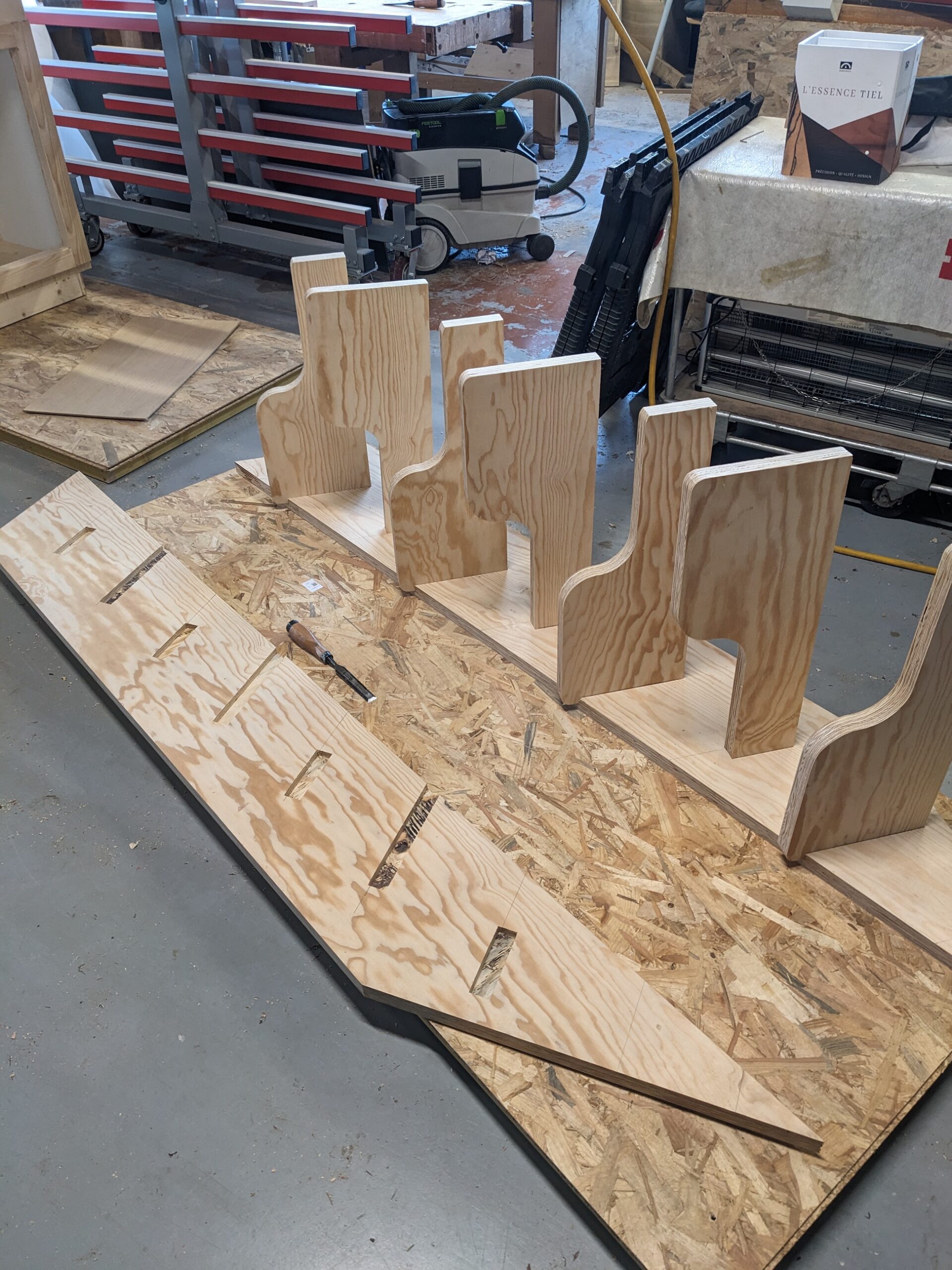 PXL_20241129_145849669