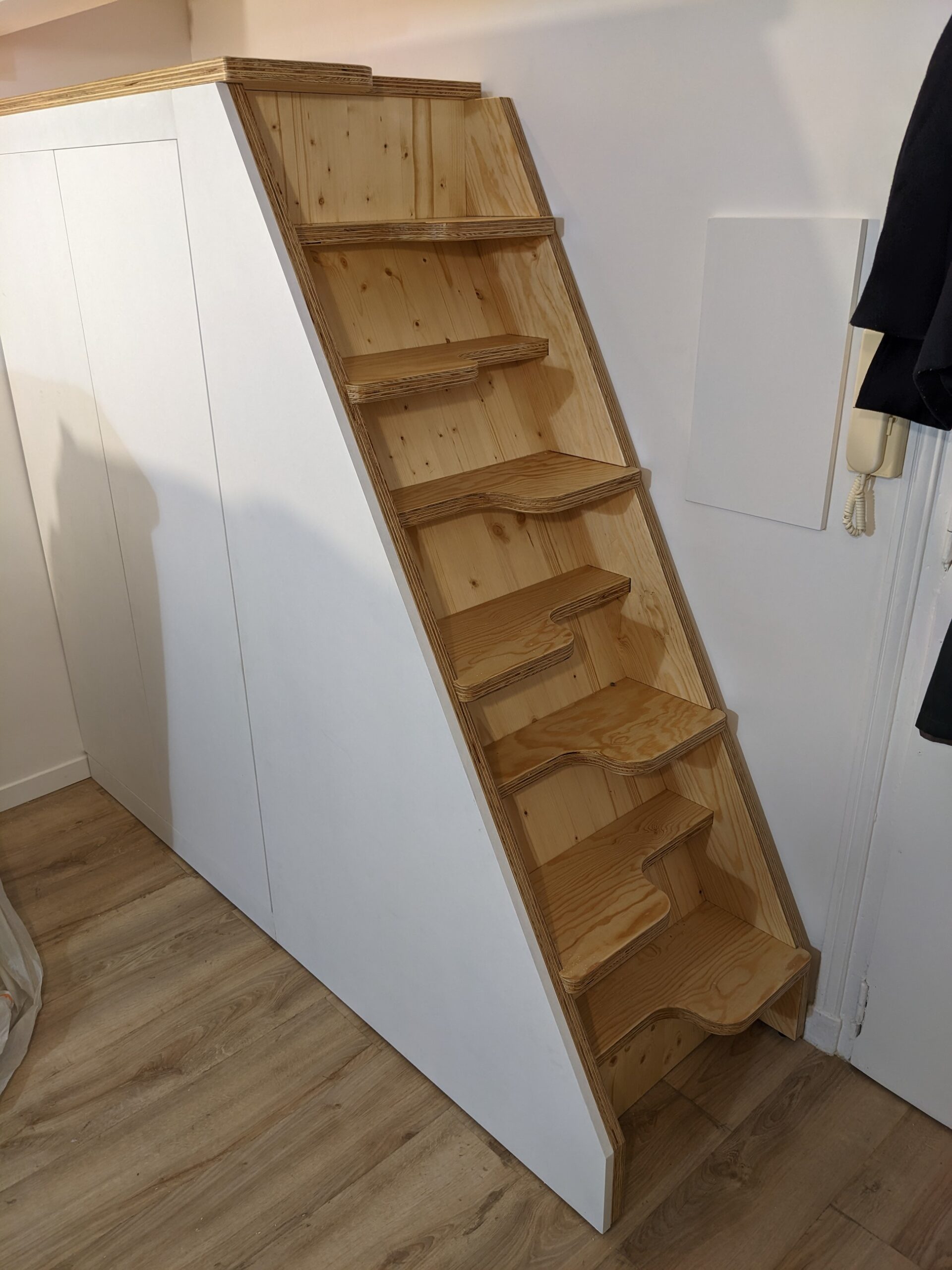 PXL_20241205_191318615.NIGHT