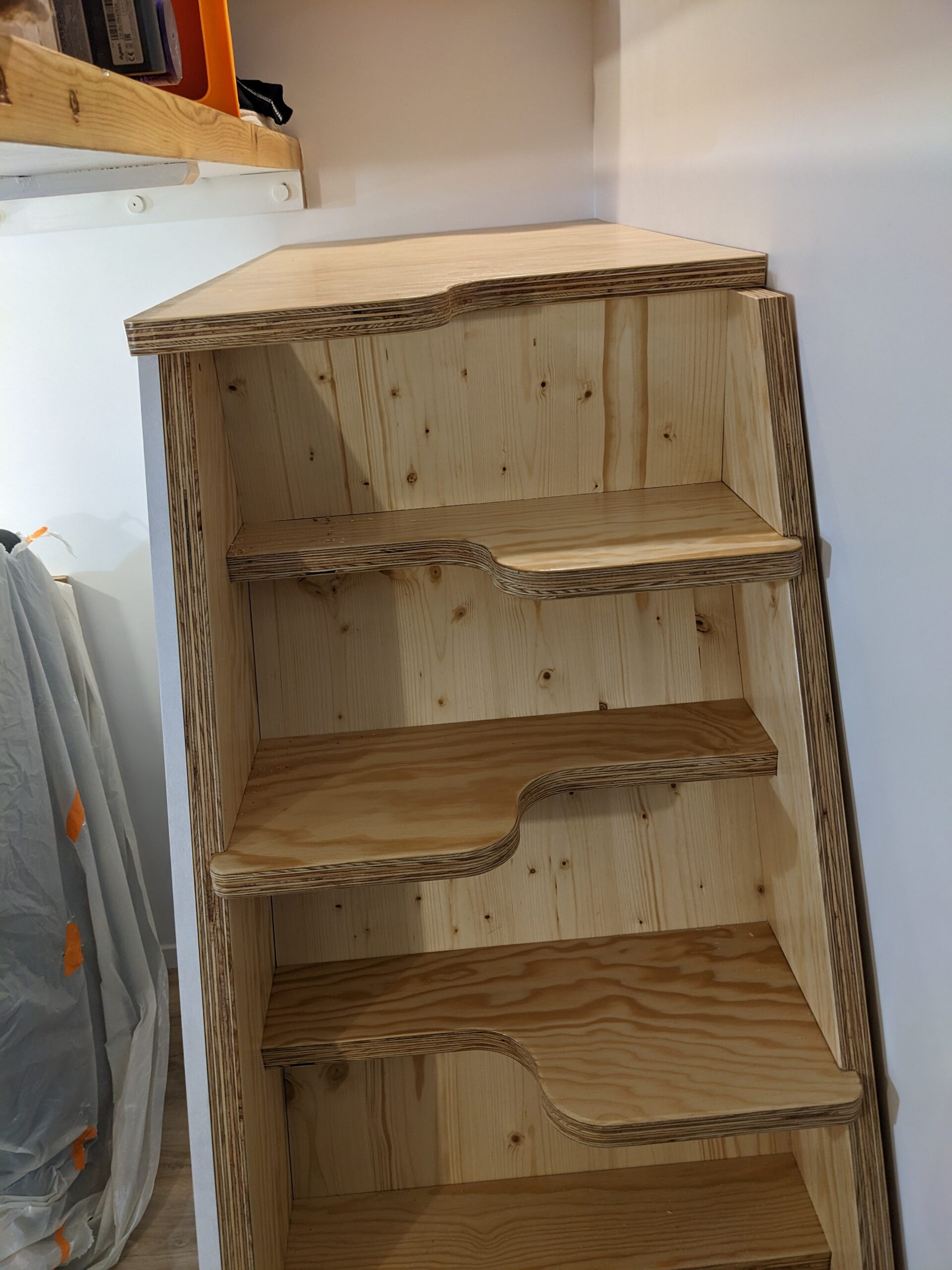 PXL_20241205_191400294.NIGHT